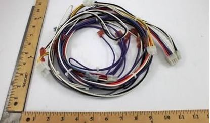 Picture of WIRE HARNESS For Armstrong Furnace Part# R45408-001