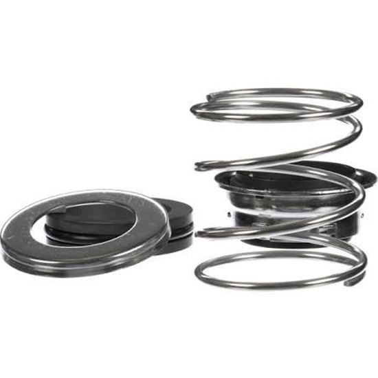 Picture of 1.25" Viton Seal Kit For Armstrong Fluid Technology Part# 975000-982