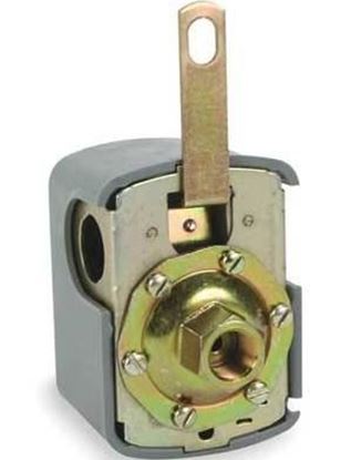 Picture of FLOAT SWITCH, CLOSE ON RISE For Schneider Electric-Square D Part# 9036DG2S1