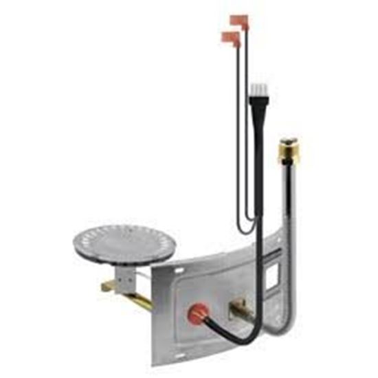 Burner Assembly For RheemRuud Part AM41730 HVAC Parts and