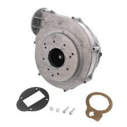Picture of Blower Assembly For Weil McLain Part# 383-500-040