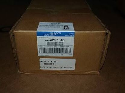 Picture of NEMA 4X 30-110 F. 2-SP/DT SWTC For Johnson Controls Part# A28PJ-1