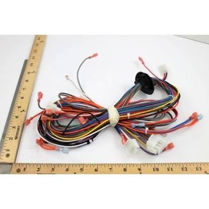Picture of 11 PIN WIRING HARNESS For Amana-Goodman Part# 0159F00021
