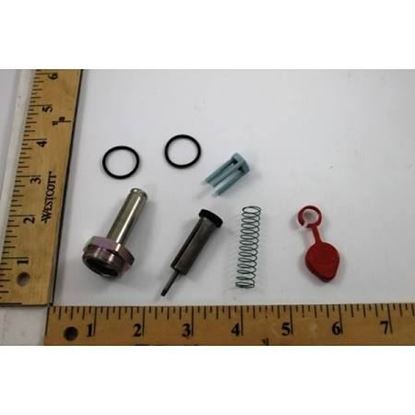 Picture of REPAIR KIT For ASCO Part# 302-135