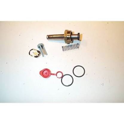 Picture of REPAIR KIT For ASCO Part# 302-104