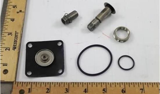Picture of Repair Kit + Plunger/Tube For GC Valves Part# KS211AF02C5CG4