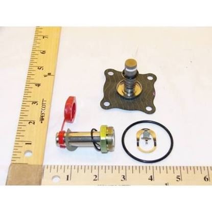 Picture of REPAIR KIT  For ASCO Part# 304-076
