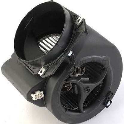 Picture of 115V Blower Motor Assembly For Laars Heating Systems Part# R2060900