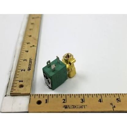 Picture of 1/8"NC DinConnect 0/220# Brass For ASCO Part# SC8256A2V-240V