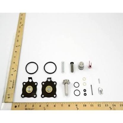 Picture of REPAIR KIT For ASCO Part# 318-160
