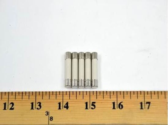 Picture of 12A Slow Blow Fuses For Weil McLain Part# 383-500-604
