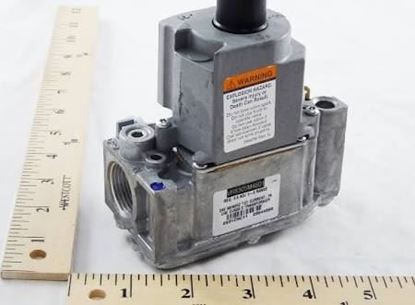 Picture of GasValveF/HSG,P250AF & P265F For Wayne Combustion Part# 62374-004