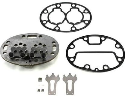 Picture of Valve Plate Kit For Carrier Part# 06DA660153