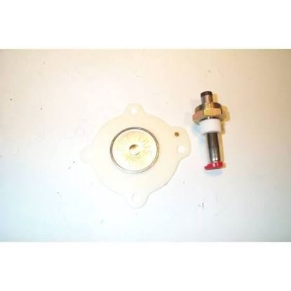 Picture of REPAIR KIT For ASCO Part# 316-563