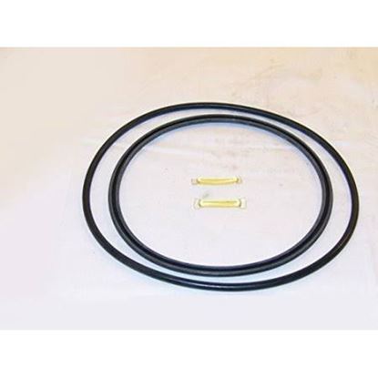 Picture of V5055 2-3" O-RING ASSBLY For Honeywell Part# 133392A