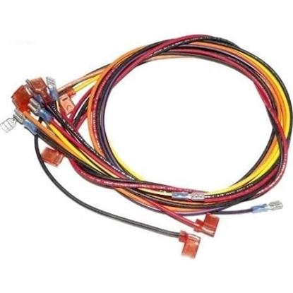 Picture of Wiring Harness, Millivolt For Raypak Part# 005269F