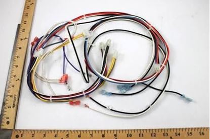 Picture of Wire Harness For Armstrong Furnace Part# R45407-001