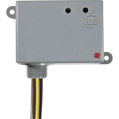 Picture of 12 VAC/DC 20A Power Relay DPDT For Functional Devices Part# RIB12P