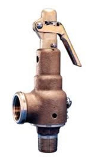 Picture of 1.5"mX2"f,25#, 1,626PPH VALVE For Kunkle Valve Part# 6030HGE01-AM0025