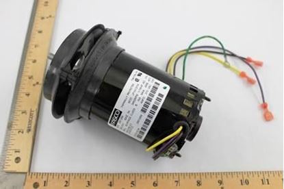Picture of INDUCER MOTOR 230V 1/16HP For International Comfort Products Part# 1175979
