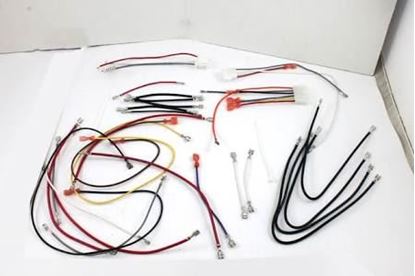 Picture of Wiring Harness Complete For Nordyne Part# 921881