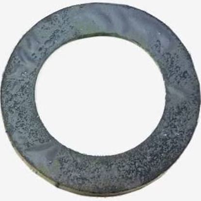 Picture of GASKET  FLANGE For Lochinvar & A.O. Smith Part# 100233672