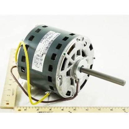 Picture of 1/2HP 208/230V 1100RPM 48FR For Carrier Part# HC43AE207