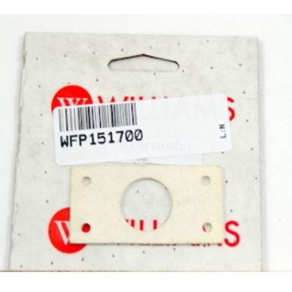 Picture of Manifold Gasket For Williams Comfort Products Part# P151700