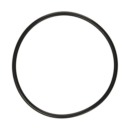 Picture of O-Ring For Watts Part# 1101085