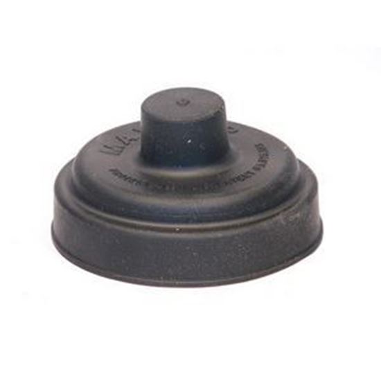 Picture of REGULATOR CAP FOR 325-3 For Miscellaneous Product Part# MAXICAP-3R