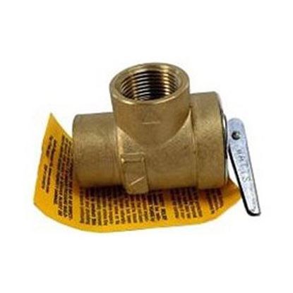 Picture of 3/4" 374A Set 45 Relief Valve for Raypak Part# 007220F
