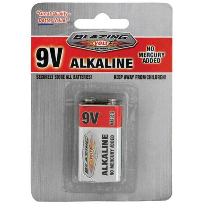 Picture of Rheem 9V Alkaline Battery - 1 Pack (Case Of 24 Packs) Part# BV900268