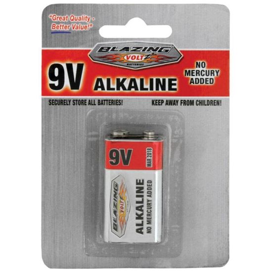 Picture of Rheem 9V Alkaline Battery - 1 Pack (Case Of 24 Packs) Part# BV900268