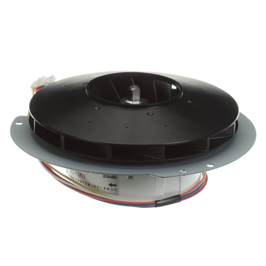 Picture of Rheem Blower Motor Part# RTG20239BL