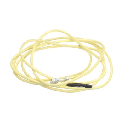 Picture of Carrier Sensor Wire Part# 99WZ2572XC206518