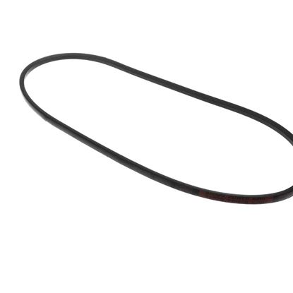 Picture of Carrier Belt Part# P463-A48