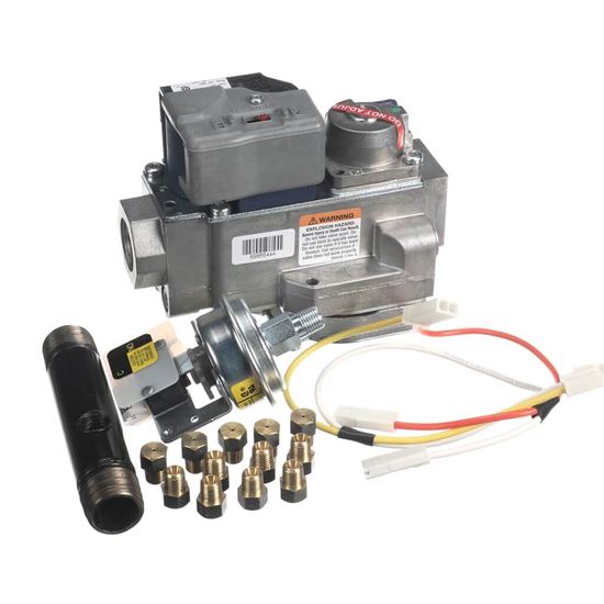 Picture of Lennox Natural To Lp Conversion Kit Part# 65W77