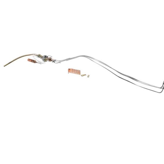 Picture of Rheem Expansion Valve (Txv) W/distributor & Liquid Line Part# 61-108476-02