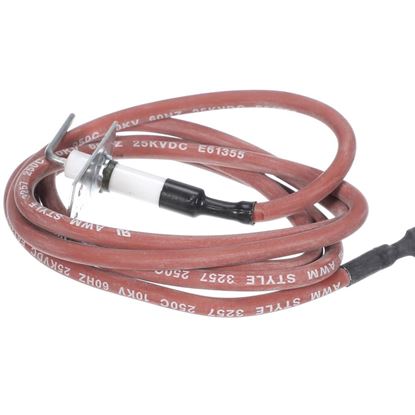 Picture of Carrier 48Dj501022 Ignit0r Part# 48DJ501022