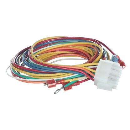 Picture of Trane Wire12 Pin Wire Harness Assembly Part# WIR02359