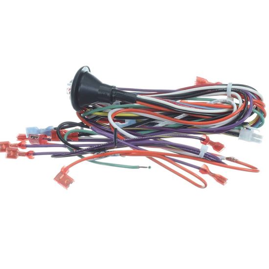 Picture of Lennox 20438201 Harness-wiring Part# 33M56