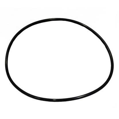 Picture of Carrier O-ring Part# KK71EW449