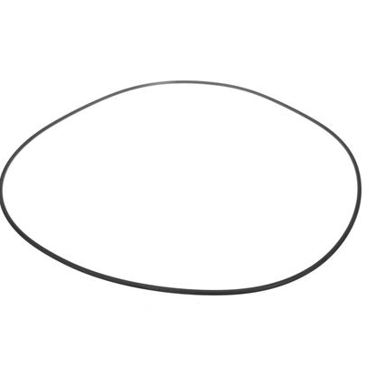 Picture of Carrier O-ring Part# KK71EW472