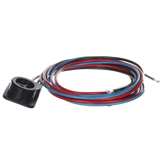 Picture of Trane Wire; Plug, Scroll Compressor Part# WIR04496