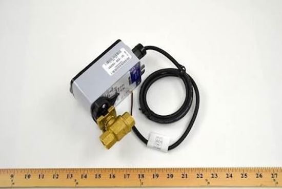 Picture of 1/2" 1.2cv 24v 2pos SR N/O Aux For Johnson Controls Part# VG1245AD+923BGA