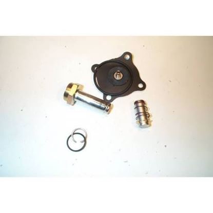 Picture of ASCO REPAIR KIT For ASCO Part# 316-669