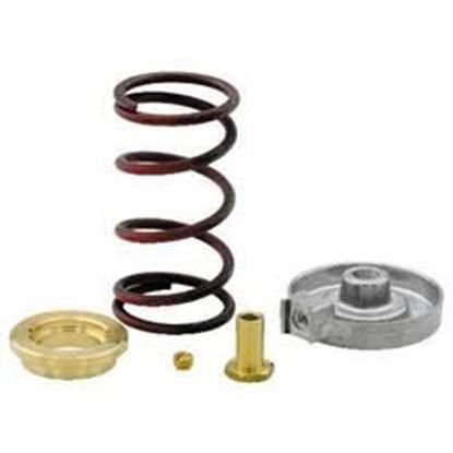 Picture of 1&1 1/4 SPRING KIT 4-8 V3000-8 For Johnson Controls Part# VG7000-1005