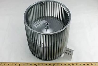 Picture of 12.2x9.5 CCW,BlwrWheel,1/2bore For Trane Part# WHL0534
