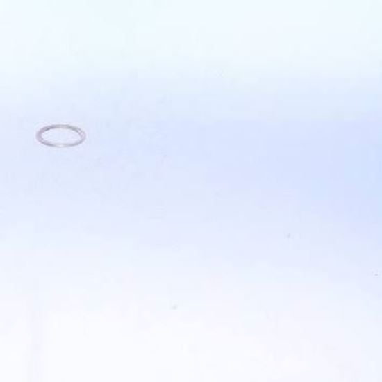 Picture of 5/8" BRASS PLATED WASHER For Conbraco Industries Part# E-1819-00
