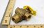 Picture of 3/4" 3W 11Cv Soft Touch Valve For Bray Commercial Part# ST75-3-11